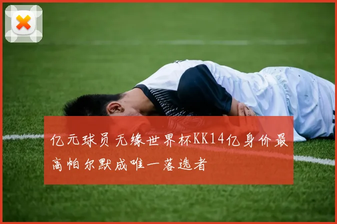 亿元球员无缘世界杯KK14亿身价最高帕尔默成唯一落选者